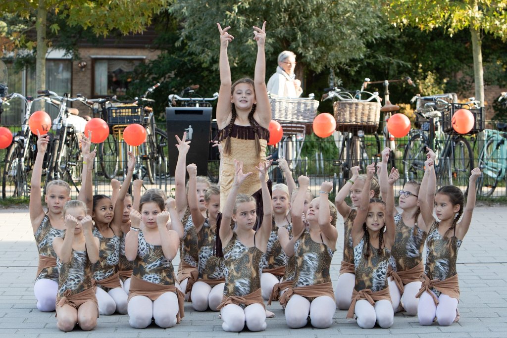 Schoolplein Festival A152.jpg